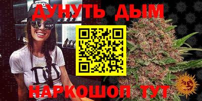 сатива Абакан