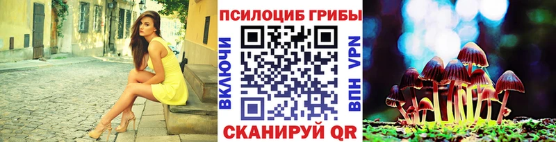закладка  shop какой сайт  Псилоцибиновые грибы MAGIC MUSHROOMS  Балтийск 