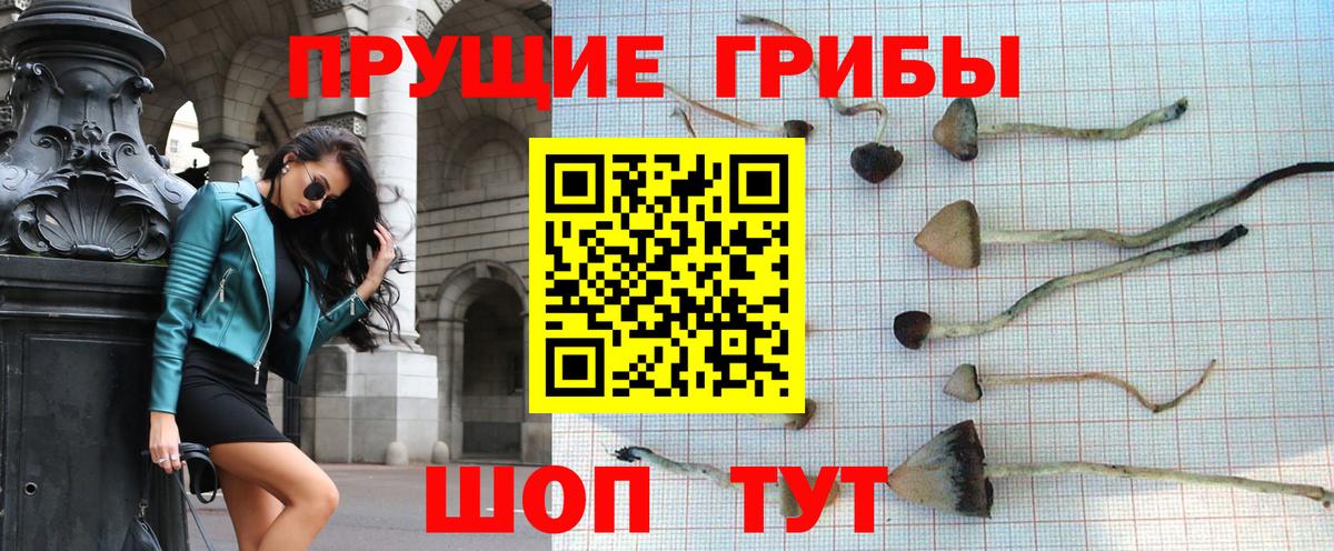 Псилоцибиновые грибы ЛСД  сколько стоит  Балтийск  Вход с VPN 