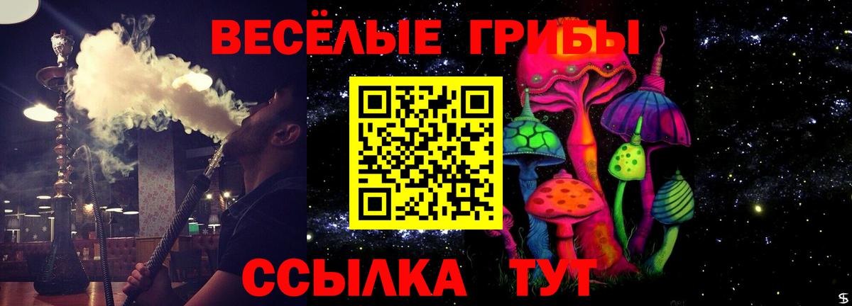 Псилоцибиновые грибы мухоморы Балтийск