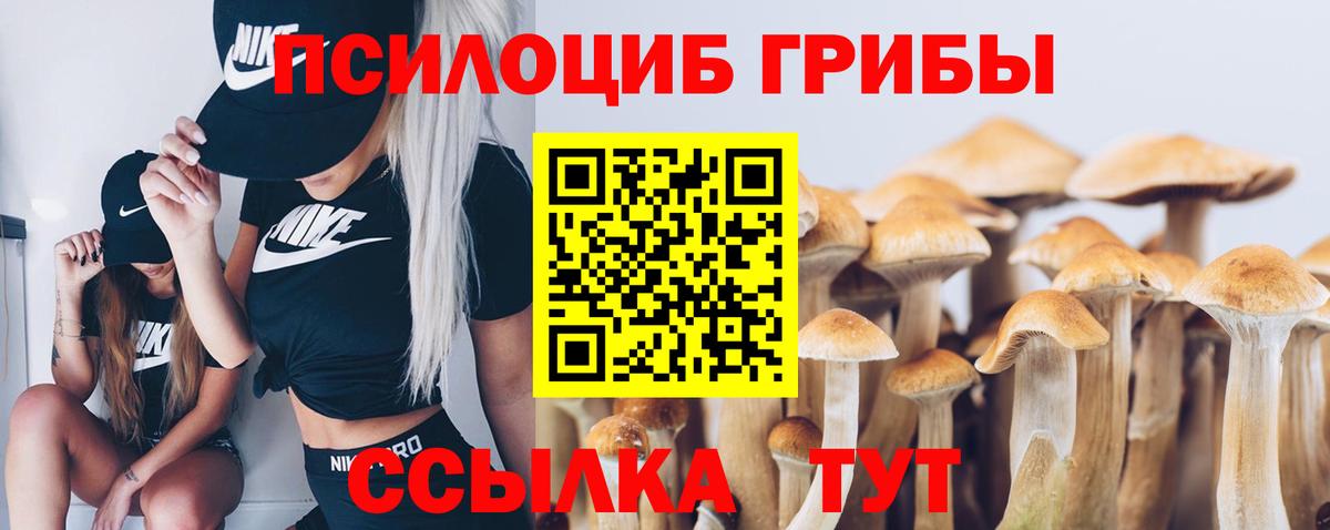 Балтийск  Галлюциногенные грибы мицелий  Вход с VPN  Псилоцибиновые грибы Magic Shrooms 