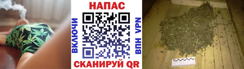 Шишки марихуана ГИДРОПОН Балтийск