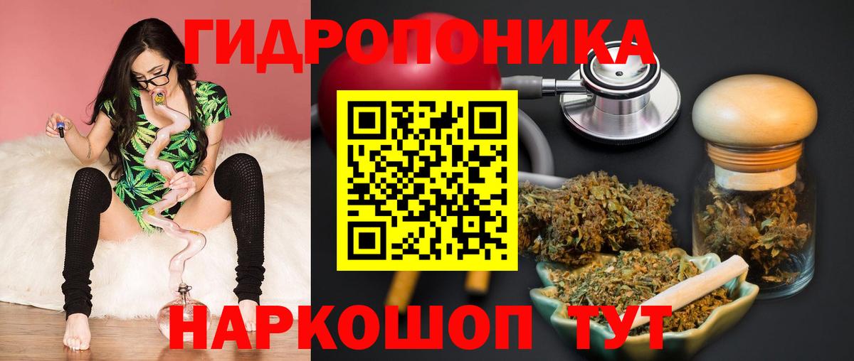 Бошки марихуана THC 21% Балтийск